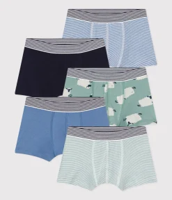 Petit Bateau Unterhosen, Boxershorts*5er-Set Kinder-Boxershorts aus Baumwolle mit Schafmotiv variante 1