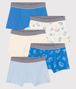 Petit Bateau Unterhosen, Boxershorts*5er-Set Kinder-Boxershorts aus Baumwolle mit Minibus-Motiv variante 1