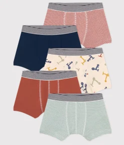Petit Bateau Unterhosen, Boxershorts*5er-Set Kinder-Boxershorts mit Rollermotiv aus Baumwolle variante 1