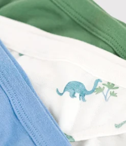 Petit Bateau Unterhosen, Boxershorts*3er-Set Kinder-Slips aus Baumwolle mit Dinos variante 1