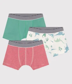 Petit Bateau Unterhosen, Boxershorts*3er-Set Kinder-Slips aus Baumwolle mit Dinos variante 1