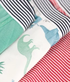 Petit Bateau Unterhosen, Boxershorts*3er-Set Kinder-Slips aus Baumwolle mit Dinos variante 1