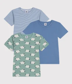Petit Bateau Unterhemden, Tanktops|T-Shirts, Poloshirts, Hemden*3er-Set kurzärmelige Kinder-T-Shirts aus Baumwolle mit Schafmotiv variante 1