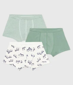 Petit Bateau Unterhosen, Boxershorts*Set Kinder-Boxershorts aus Baumwolle mit überzogenem Bund mit Zebra-Motiv variante 1